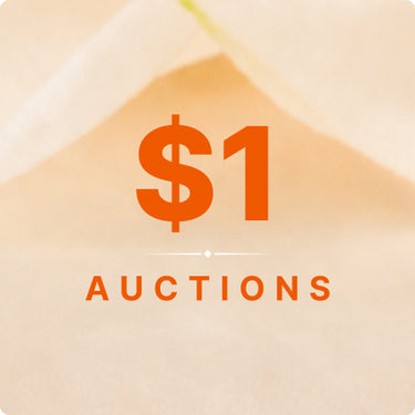 $1 Auctions