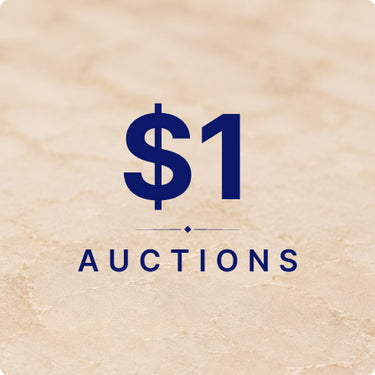 $1 Auctions