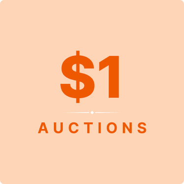 $1 Auctions