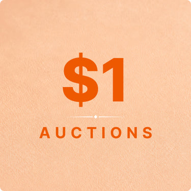 $1 Auctions