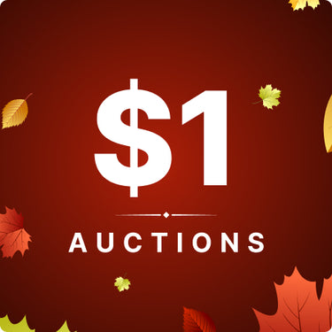 $1 Auctions