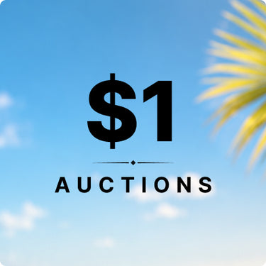 $1 Auctions