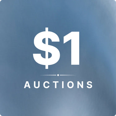 $1 Auctions