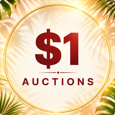 $1 Auctions