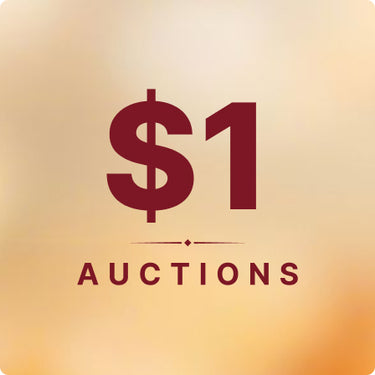 $1 Auctions