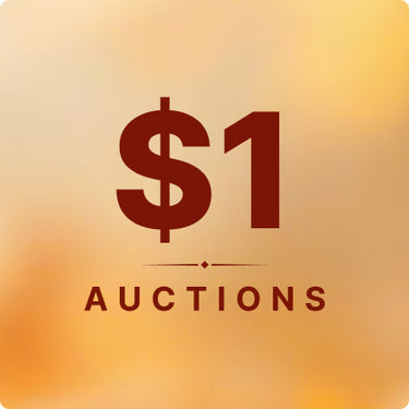 $1 Auctions