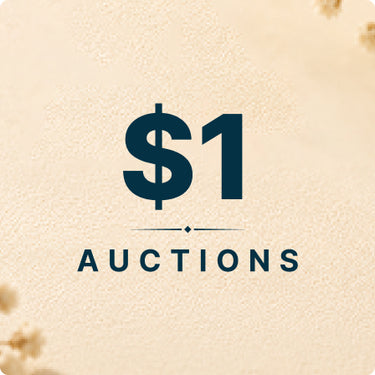$1 Auctions