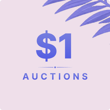 $1 Auctions