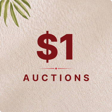 $1 Auctions