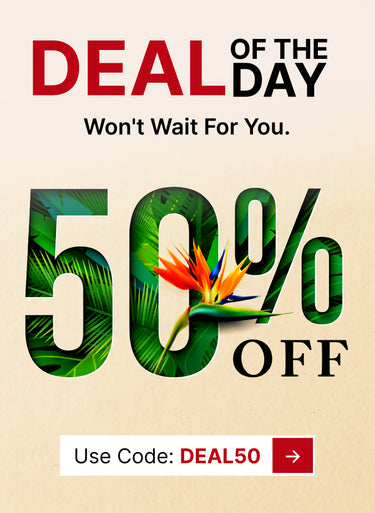 hot deals