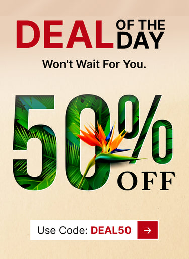 hot deals