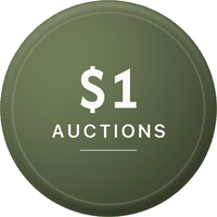 $1 Auctions