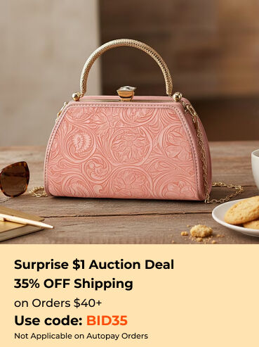 Surprise $1 Auction Deal