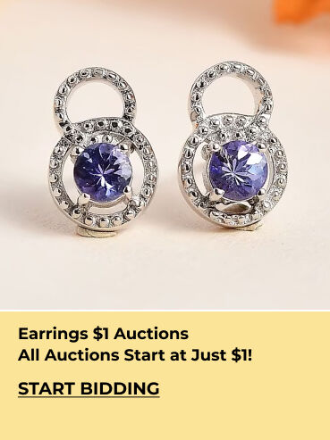 Earrings $1 Auctions
