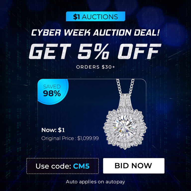 Cyber Week Auction Deal! 