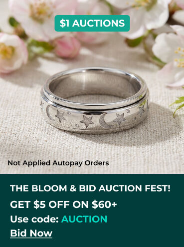 $1 Auctions