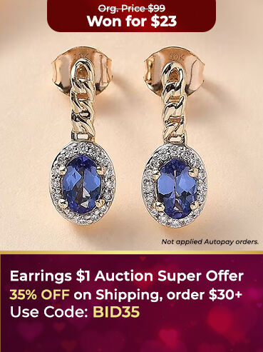 Earrings $1 Auction Super Offer 