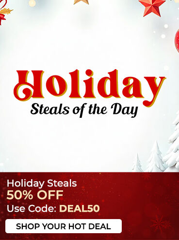 Holiday Steals of the Day