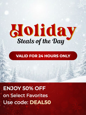 Holiday Steals of the Day