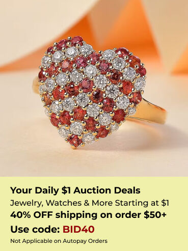 Your Daily $1 Auction Deals