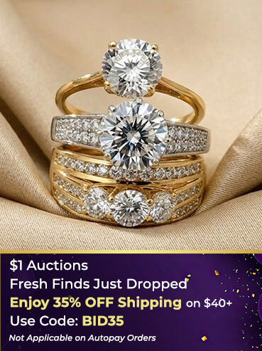 Earrings $1 Auctions