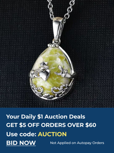 Your Daily $1 Auction Deals