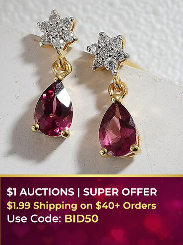 $1 AUCTIONS | SUPER OFFER