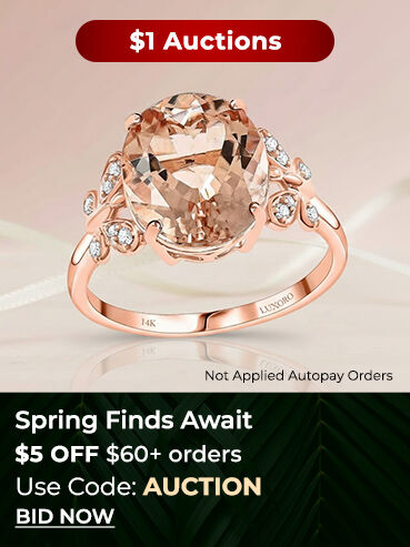 $1 Auctions- Spring Finds Await