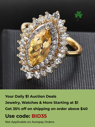 Your Daily $1 Auction Deals