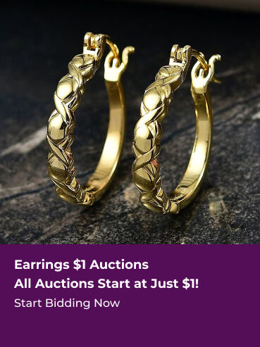Earrings $1 Auctions