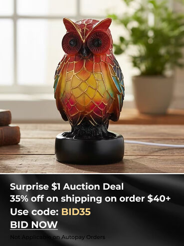 Surprise $1 Auction Deal