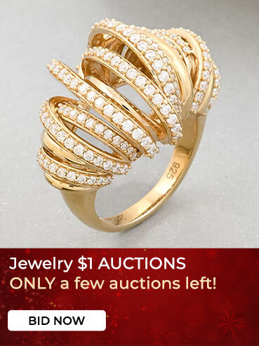 Jewelry $1 AUCTIONS