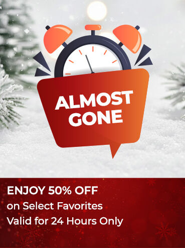 Holiday Steals of the Day