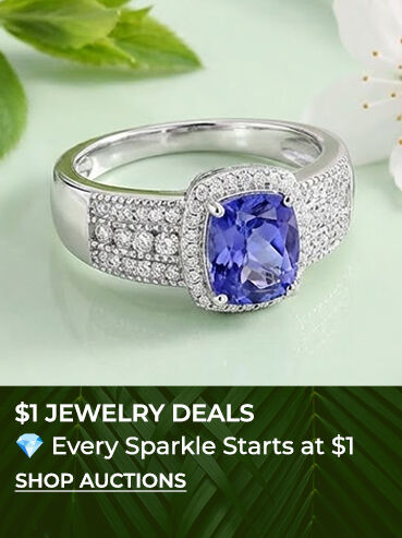 $1 JEWELRY DEALS