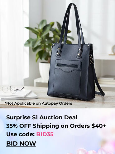 🎁 Surprise $1 Auction Deal