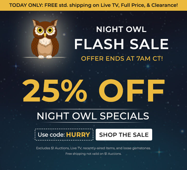 Night Owl FLASH SALE
