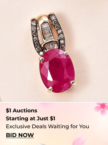 $1 Auctions Startig at Just $1