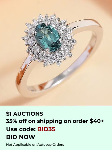 Your Daily $1 Auction Deals