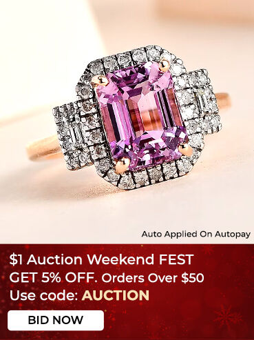 $1 Auction Weekend FEST