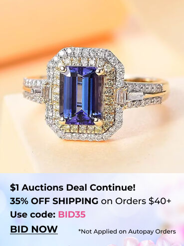 $1 Auctions Deal Continue!