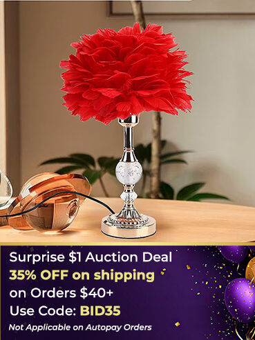 Surprise $1 Auction Deal