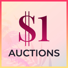 $1 Auctions Cat6