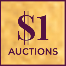 $1 Auctions Cat6